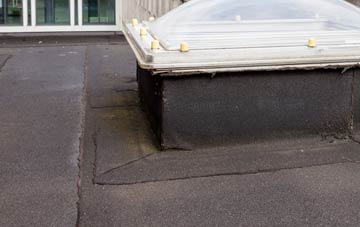 disadvantages of Canford Heath flat roofs