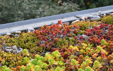 the cost of Canford Heath green roof installation
