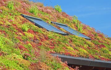 Canford Heath living roof systems