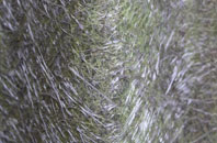 Canford Heath fibreglass roof work